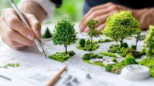 landscape designer